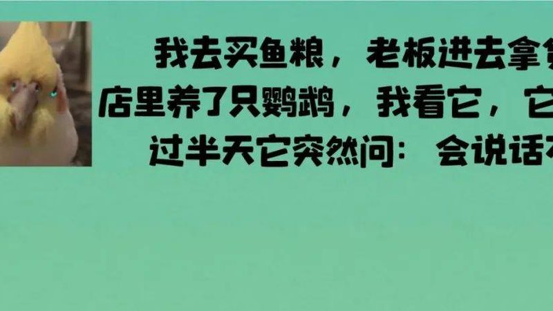 行业现状：价格战下的理性思考